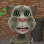 Talking Tom Cat